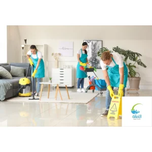 Untitled-design-10-300x300 شركة تنظيف مجالس بحائل
